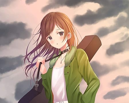 Amazon 大人のための番号キットによるペイントカラー原稿女の子アニメギター楽器diy油絵子供のための大きなサイズの誕生日プレゼントアート装飾壁の絵 カスタマイズ可能 40x50cm Diyフレーム ぬりえ おもちゃ