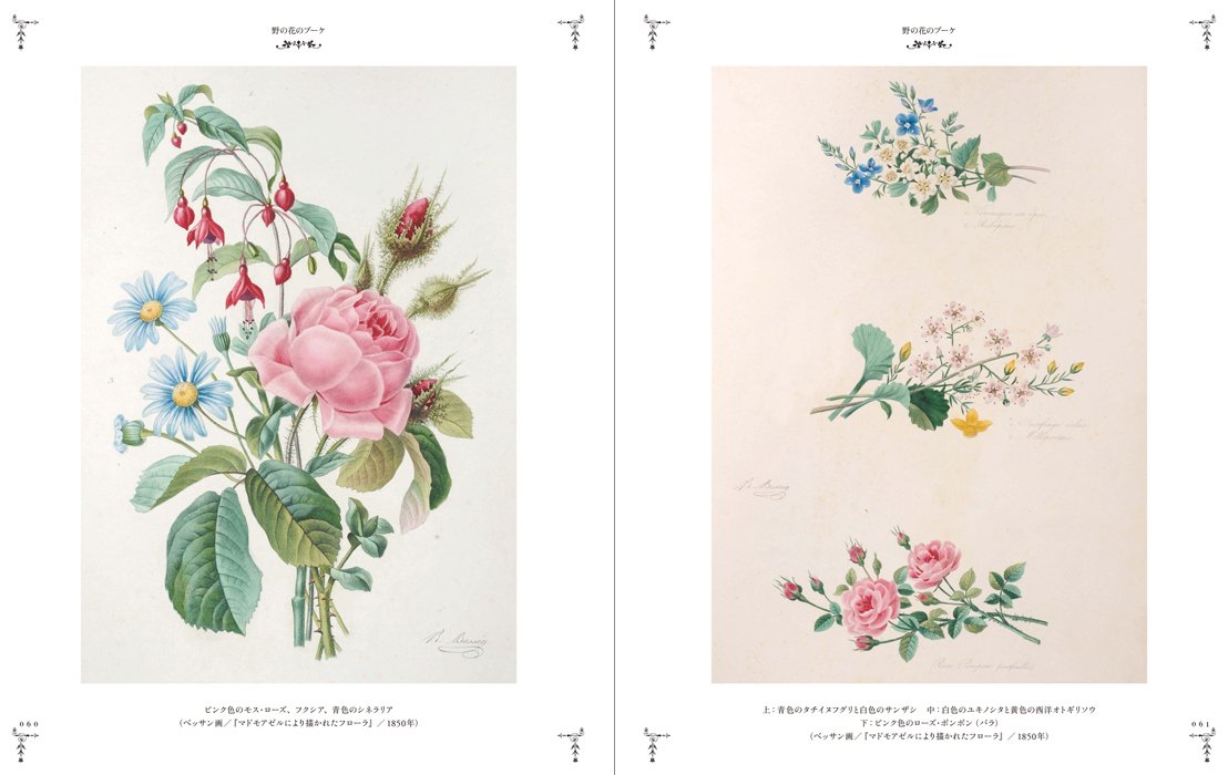 野の花の本 ボタニカルアートと花のおとぎ話 解説 監修 海野弘 本 通販 Amazon 野の花の本 ボタニカルアートと花のおとぎ話 解説 監修 海野弘 本 通販 Amazon