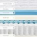 Olee Sleep 10 inch Omega Hybrid Gel Infused Memory Foam and Pocket Spring Mattress  (King)