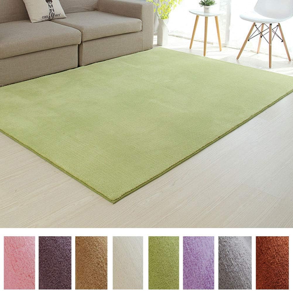 Best rugs for living room 9×12 multicolored