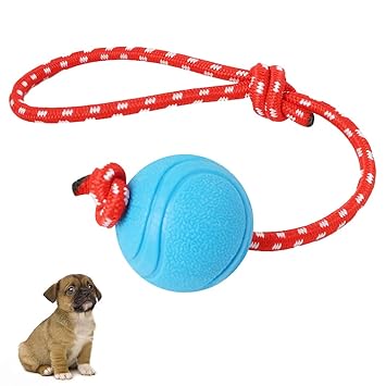 amazon cane interattivo