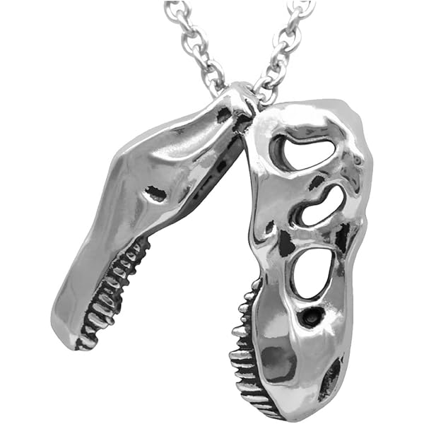 Amazon.com: Controse Dinosaur Necklace - T-Rex Skull Pendant (316L
