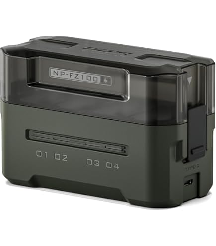 Amazon.com: Sony NPFZ100 Z-Series Rechargeable Camera Battery (Two