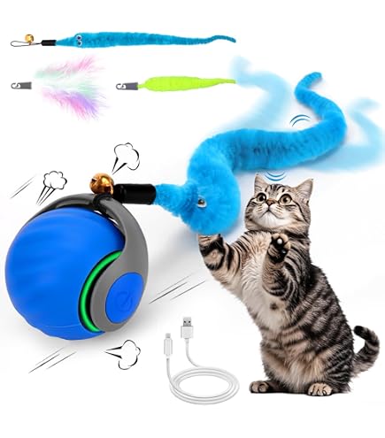 Speedy Tail Cat Toy, 2025 New Interactive Cat Toy For Indoor Cats Automatic Moving Ball Usb Rechargeable Smart Toys Two Speed Adjustment F56119e4 67ed 47ac Ac0f 28dd1a9f0461.6c7bf8f854c9b09c20e27755dc2a9330