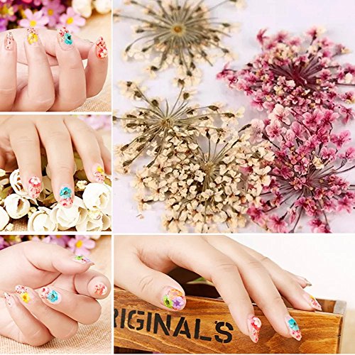 EYX Formula Set of 12 Different Dry Flowers Colors DIY Nail Art 3D Nail Stickers Nail Supplies Dried Flowers Nial Decoration Tool for Manicure - Thumbnail 6
