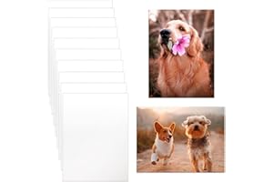 CHONOVO 10 Pcs Sublimation Photo Blanks 8x10 Inch Metal Sublimation Sign Blanks Aluminum Sublimation Blank DIY Photo Sign Wall Frame Poster for Living Room Bedroom White (Thickness 0.45mm)