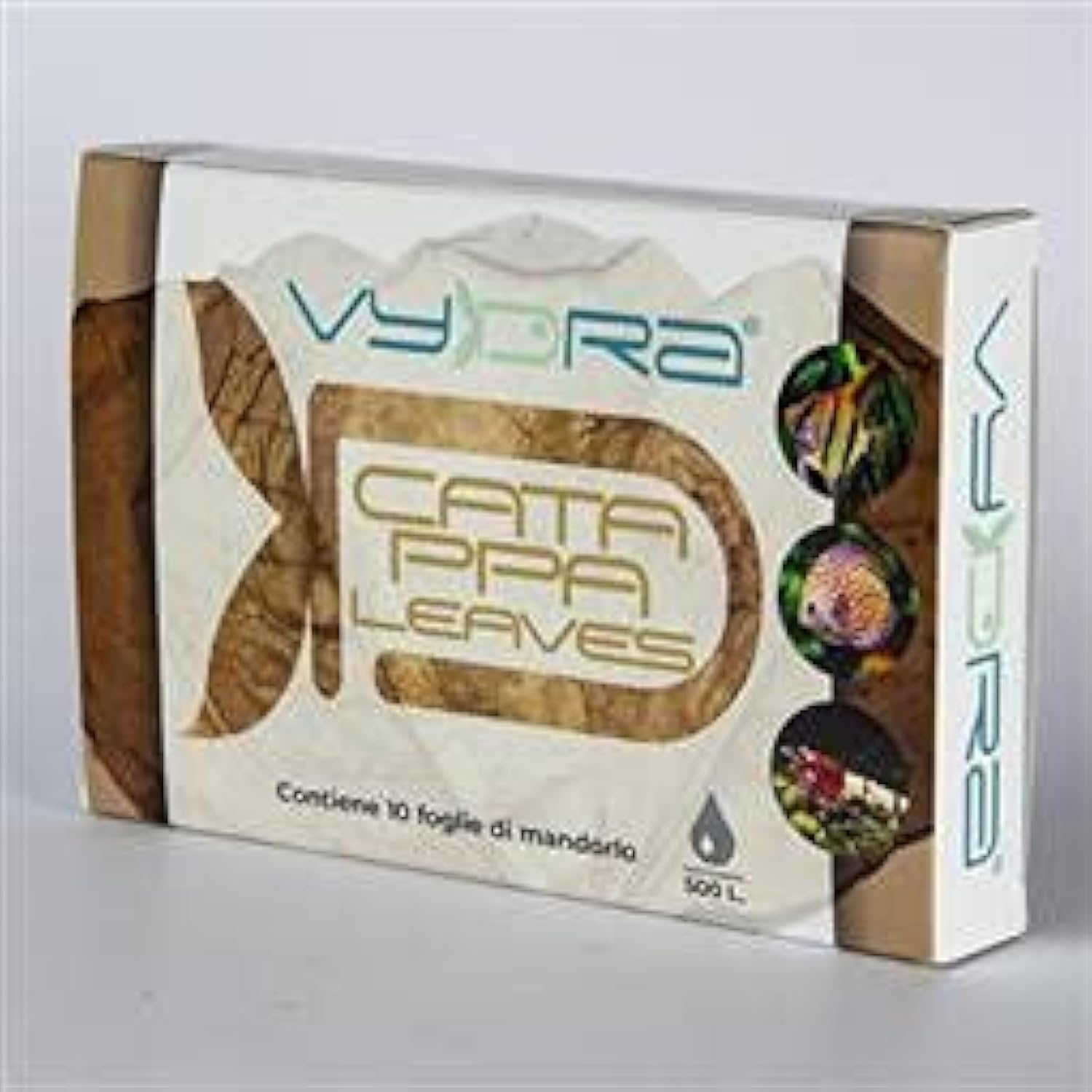 Vydra CATAPPA Leaves 10pcs. Indian Almond Catappa Leaves Sweet Aquarium
