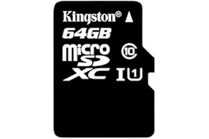 Kingston Digital 64GB microSDXC Class 10 UHS-I 45MB/s Read Card with SD Adapter (SDC10G2/64GB)