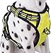 PoyPet No Pull Dog Harness, Reflective Comfortable Vest Harness with Front & Back 2 Leash Attachments and Easy Control Handle Adjustable Soft Padded Pet Vest for Small to Large Dogs (Green,XL)