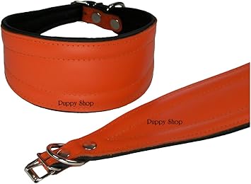 lurcher collars amazon