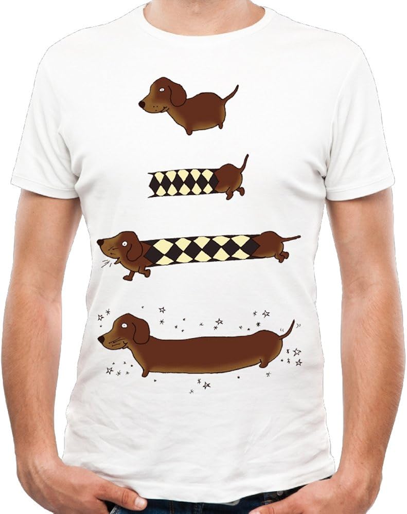 dog door double glazed glass