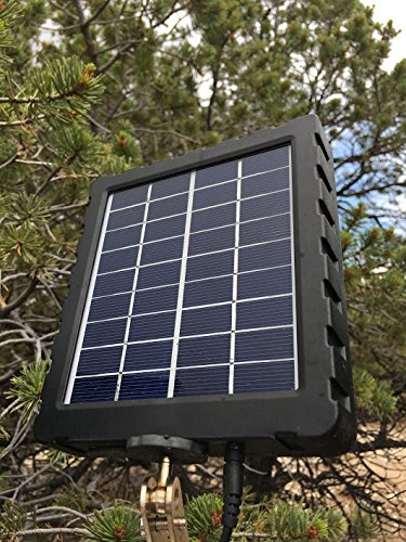 Best Cameras For Home Security Solar Panel