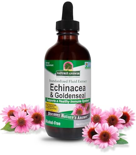 Amazon.com: ature's Answer Echinacea Extract | Supports a Healthy