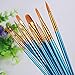 Hibery 20 Pcs Pointed - Round Paintbrush Set - Blue Round Pointed Tip Nylon Paint Brush Set, Art and Watercolor Brushes, Acrylic Paint Brushes, Oil Painting Supplies