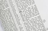 American Standard Version Bible