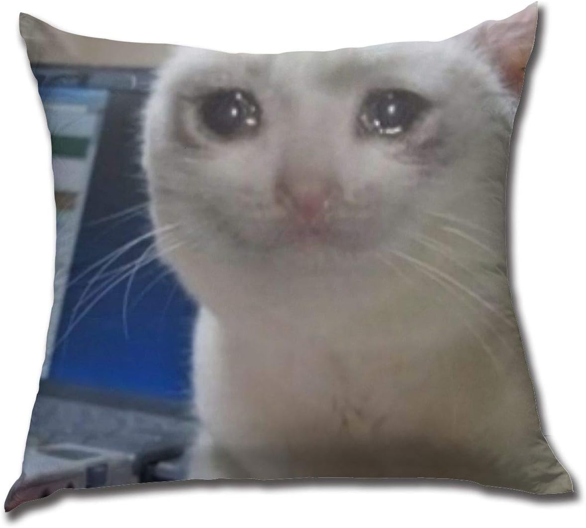 CHARLESNORTON Home Decoration Cute Crying Cat Meme Throw Pillow Covers for Couch 18 X 18 Inch