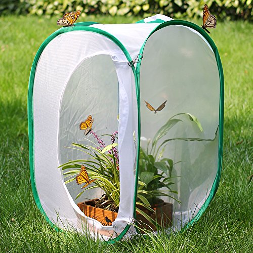 Insect and Butterfly Habitat Terrarium Pop-up - 23.6 Inches Tall (White)