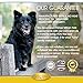 Chewable Omega 3 Salmon Oil Supplement for dogs-120 Gluten Free Wild Alaskan Fish Oil Bites for Youthful Skin & Coat, Heart Healthy EPA/DHA, Boost Immune System & Metabolism, Anti Inflammatory