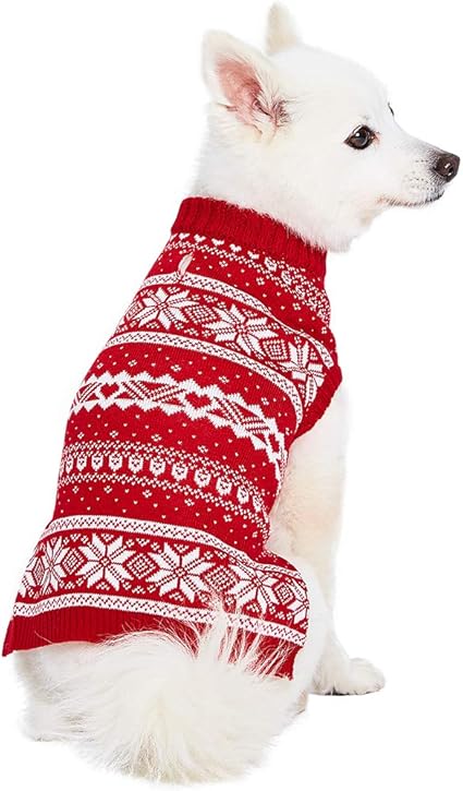 Matching sweaters with your dog