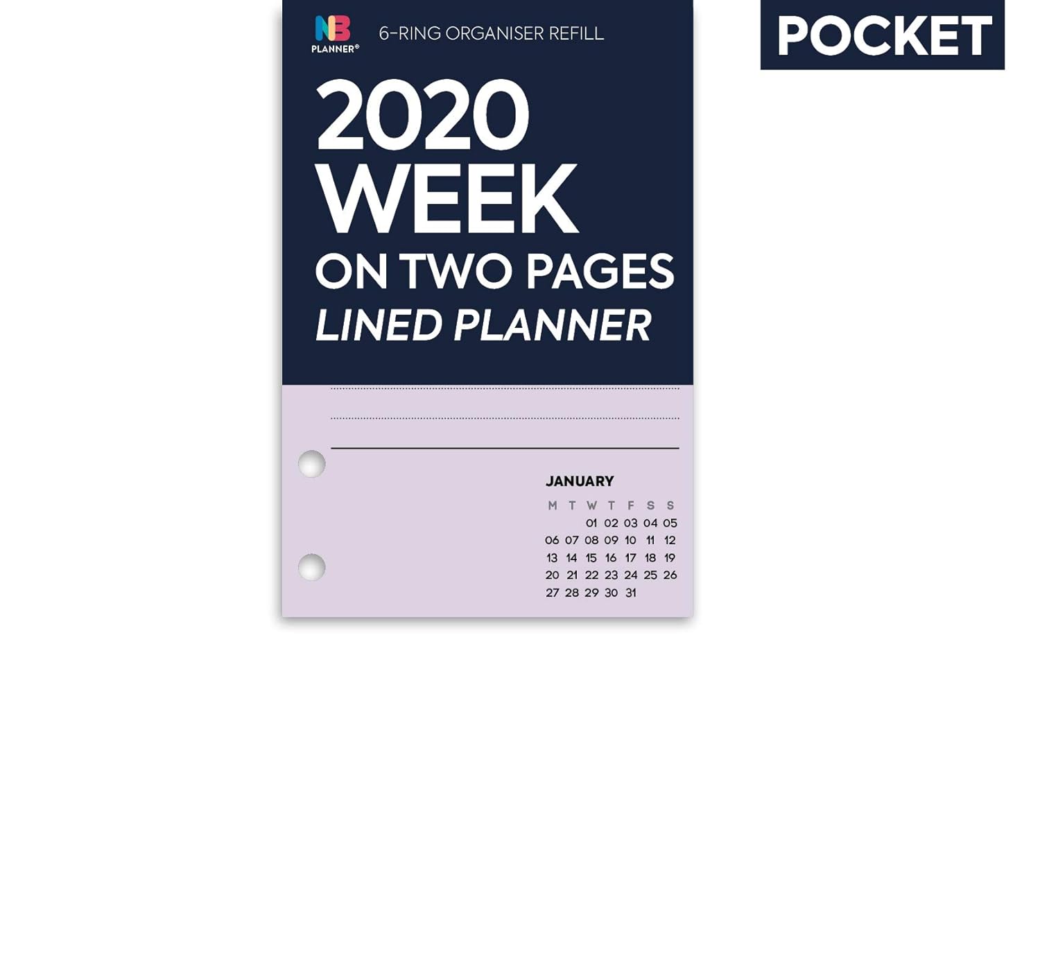 Eco 410 week 11 quiz 10 essay image