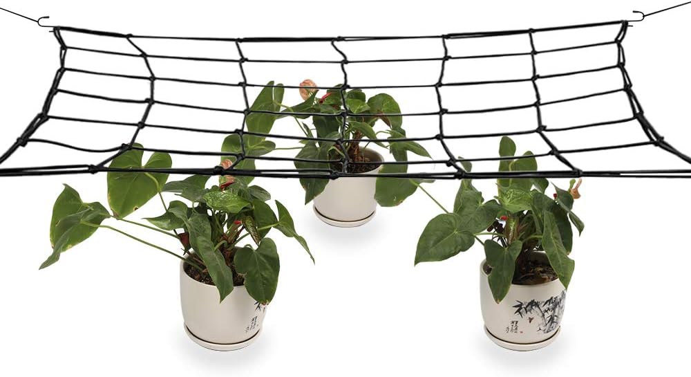 JYCRA Elastic Trellis Netting, Garden Flexible Garden Tent Net Plant Support Net with Steel Hooks Fits 4x4 Ft and More Size size 49 Growing Spaces