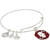 Alex and Ani Glass Crystal Hamsa Charm Bangle