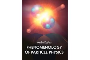Phenomenology of Particle Physics