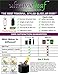 ultravioLeaf 250 ml (8.5 fl oz) Tall Black Ultraviolet Glass Herb Storage Jar - Airtight Stash Container