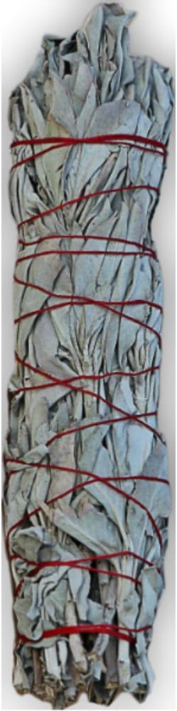 Single Large (8"-9") White Sage Smudging Stick - SK White Sage INC.