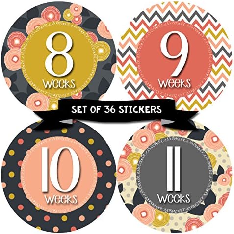 Pregnancy Weekly Belly Growth Stickers - Week to Week Pregnant Expecting Photo Prop - Maternity Keepsake - Baby Bump - Large Set of 36 Weekly Photo Sticker
