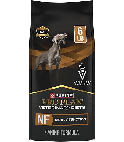 Amazon.com: Hill's Prescription Diet k/d Kidney Care Dry Dog Food, Lamb,  8.5 lb. Bag : Pet Supplies
