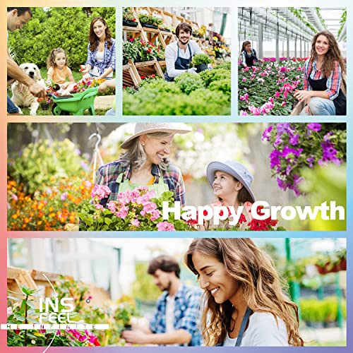 Soil Tester, Moisture pH Light Meter Probe Test Kit for Outdoor Indoor Gardening, Plant Hydrometer for Garden, Lawn, Home, Farm - 3 in 1, No Battery Needed (Green)