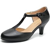 LIURUIJIA Women's T Strap Mary Jane Kitten Heels Pumps Vintage Low Heel Dress Shoes for Wedding Party Work Church Black Matte 6.5