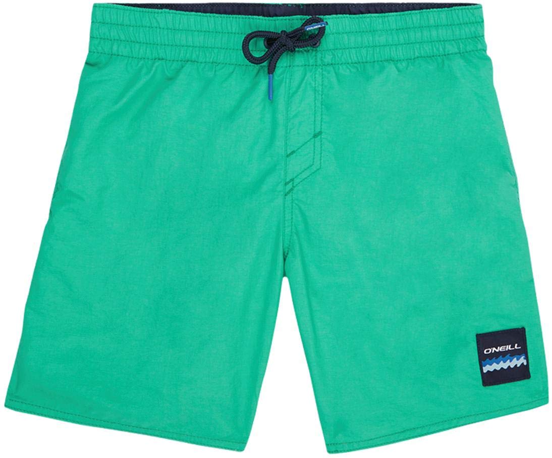 O'Neill Boys' PB Vert Swimming Trunks