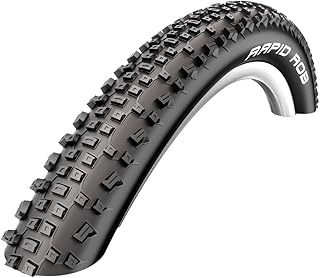 Schwalbe Rapid Rob