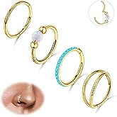 Beautidots 4 PCS 16G 18G 20G Nose Rings Hoops Stainless Steel Earrings Tragus Septum Piercing CZ Clicker Ring Hinged Segment Lip Double Hoops 8MM/10MM