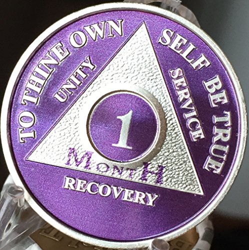 1 Month Purple Silver Plated AA Medallion 30 Day Chip