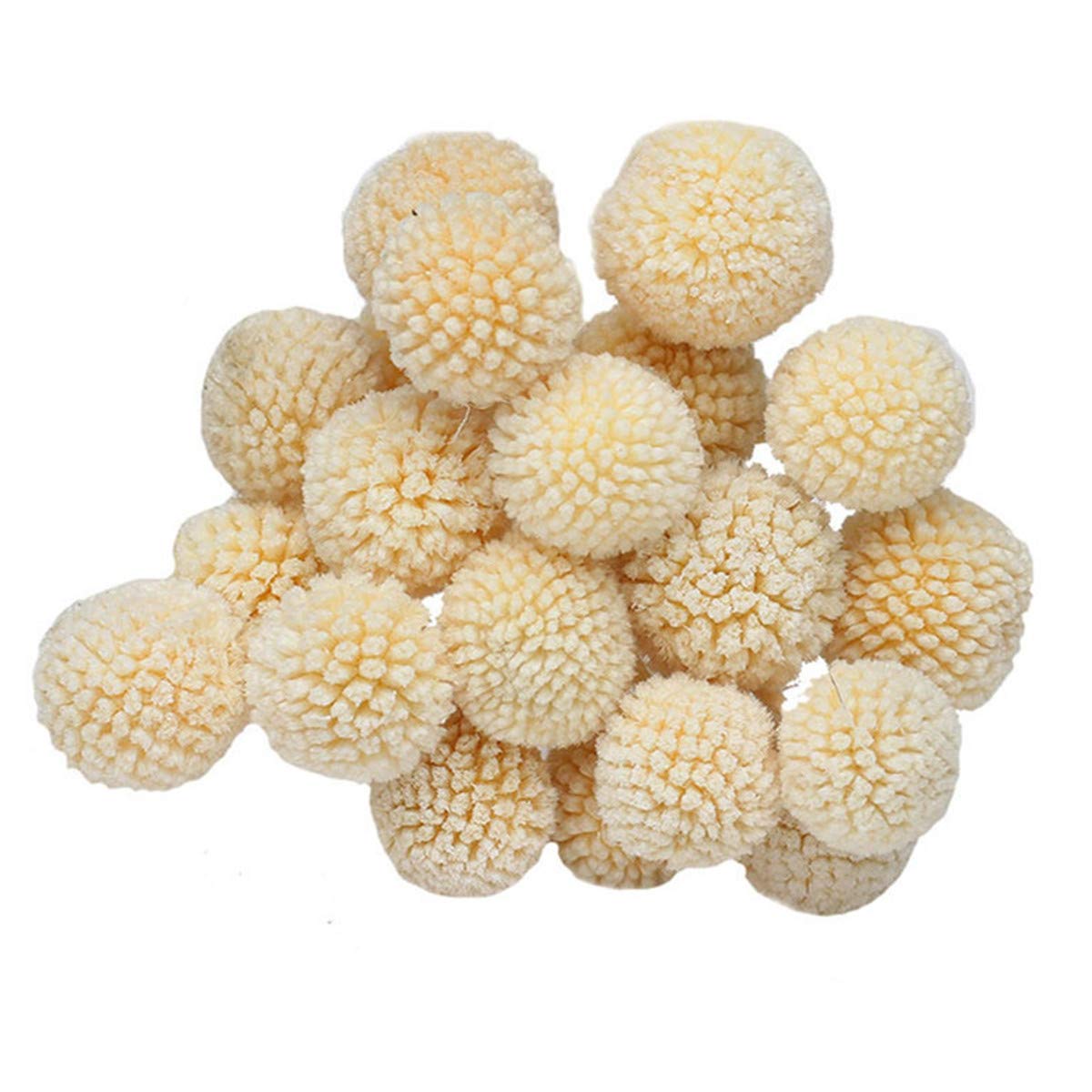 INVISIKAYAK Craspedia globosa Material Flower Immortal Eternal Flowers Gift (creamy-white, 40pcs)