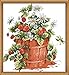 Joy Sunday Strawberry Counted Cross Stitch Kits, Cross-Stitch White Blank Fabric Embroidery kit 14 Count 12''x13''