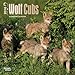 Wolf Cubs 2016 Mini 7X7 (Multilingual Edition)