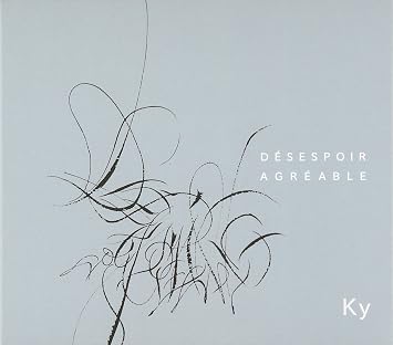 Amazon Desespoir Agreable 心地よい絶望 デゼスポワー アグレアーブル Ky Ky 仲野麻紀 ヤン ピタール 室内楽 器楽曲 ミュージック