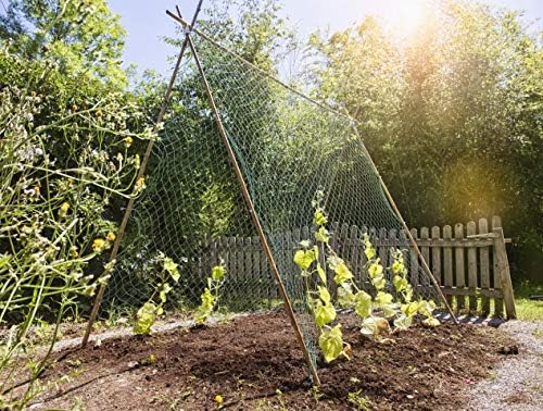 WINDHAGER – Red Rank, Malla 50 mm, 10 x 2 m, Verde: Amazon.es: Jardín