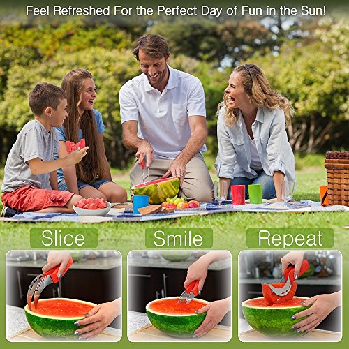 4 Watermelon+Slicer+Tong+Sleek%25C3%25A9+Cushioned