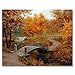Rihe Diy Oil Painting, Paint by Number Kit-Maple 16x20inch (Frameless)