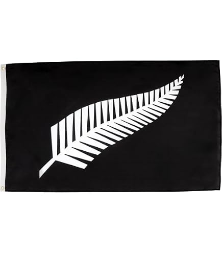 Amazon.com : DMSE Silver Fern New Zealand Flag 3X5Ft Foot 100