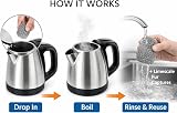 SISI UK 2x Stainless Steel Kettle Descaler Balls Descaler Limescale Remover view 4