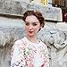 QIANSE Designer 