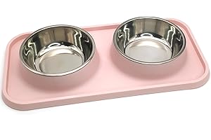 BNOSDM Double Dog Food Bowls Stainless Steel Dog Food and Water Bowls with Non-Spill Plastic Mat Pet Cat Feeder Bowl Set for Puppy Cats Kitten Small Medium Dogs Pink