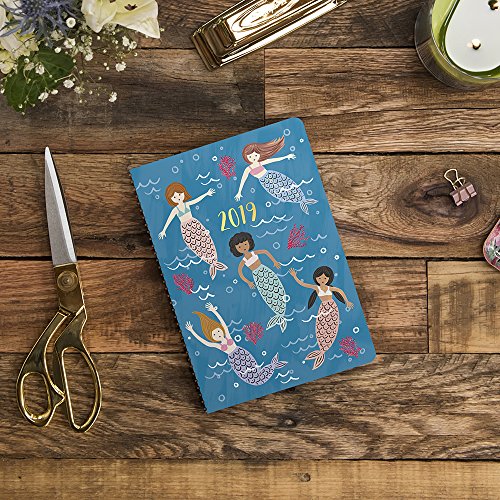 Orange Circle Studio 2019 On-Time Weekly Planner, August 2018 - December 2019, Potpourri