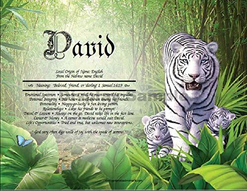 White Tiger - Personalized ANY First Name Meaning Keepsake Print 8.5" x 11" | Female Artwork Wall Decor Kids Room Holiday Mystical Gift Zoo Animal